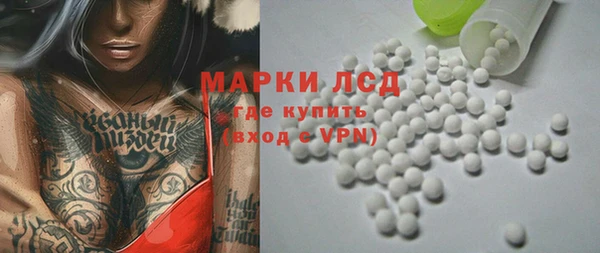 гашик Алексин