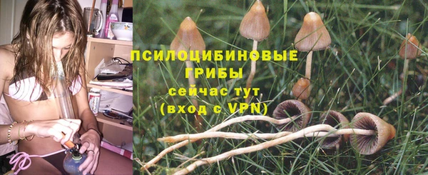 мескалин Алексеевка