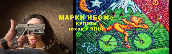 гашик Алексин