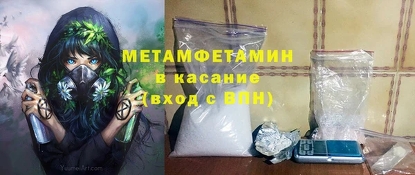 гашик Алексин