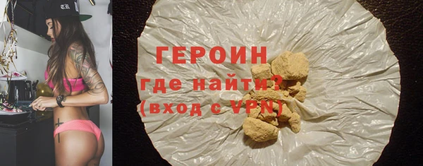 гашик Алексин